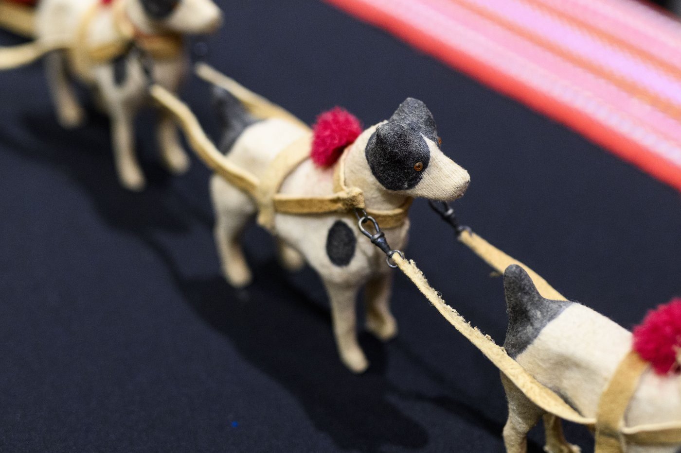 Métis leaders unveil 1920s model dog sled repatriated from Vatican