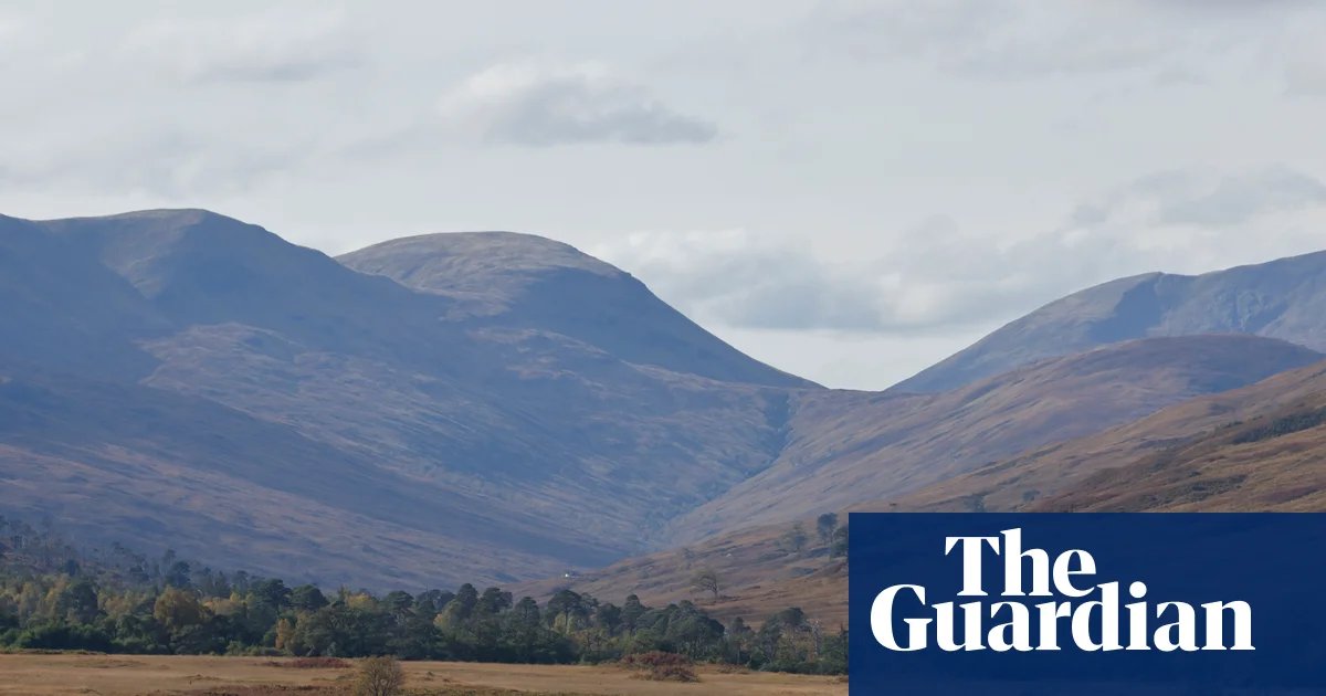 More than 35m unexpected salmon deaths at Scottish farms sparks outcry | Fishing industry