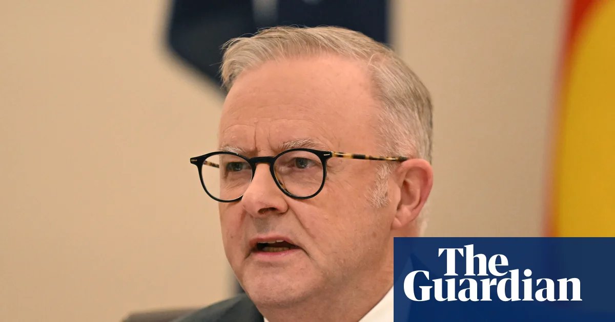 Albanese says One Nation doesn’t ‘represent working people’ and claims Pocock ‘seeks to promote grievance’ | Anthony Albanese