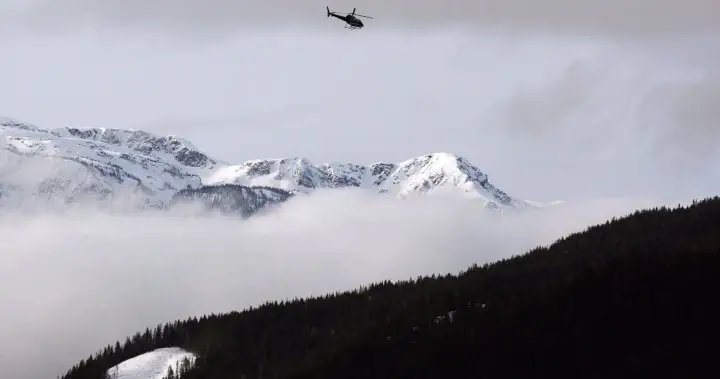Heli-skier dies in avalanche near Revelstoke, B.C.