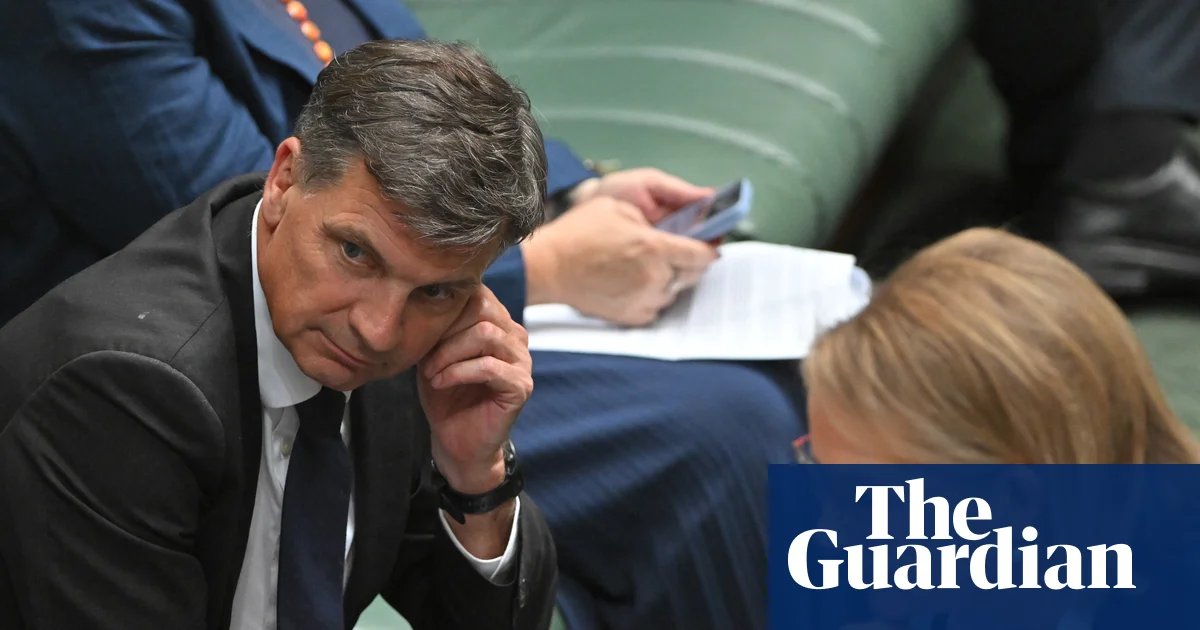 Angus Taylor supporters expect him to challenge Sussan Ley for Liberal leadership within days | Coalition