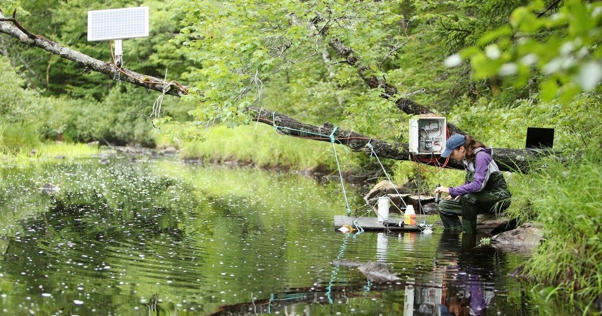 Nova Scotia’s CarbonRun reaches carbon capture milestone with ‘river liming’ project