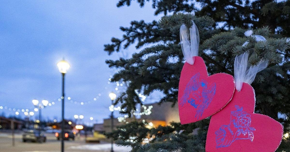 RCMP can't corroborate 'veracity' of multiple threats in Tumbler Ridge, B.C.