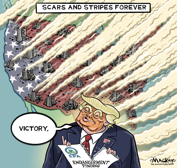 Some Pics From Bluesky