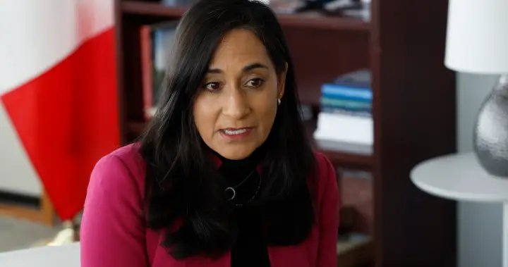 Anand to attend U.S. meeting on critical minerals in Washington – National