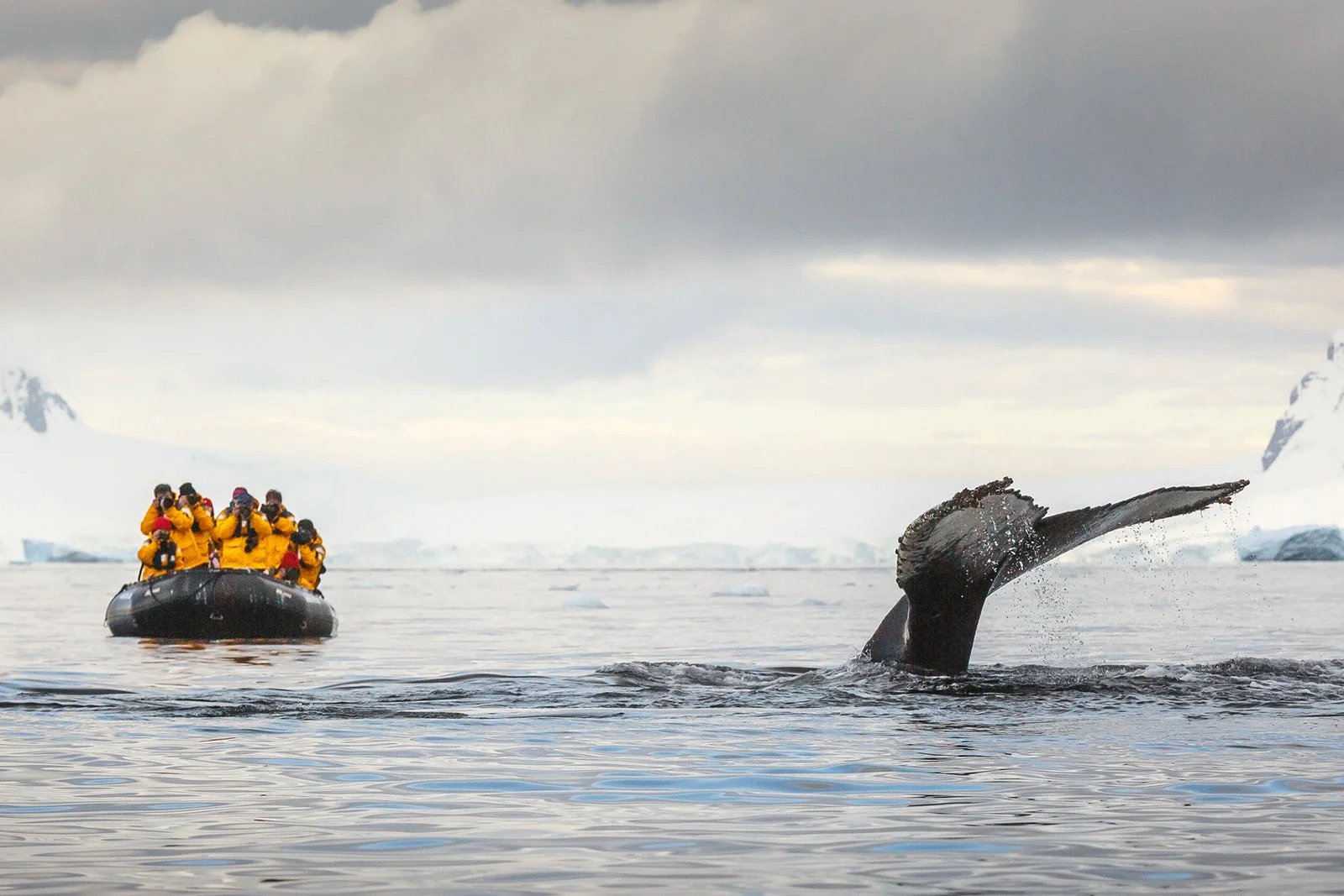 Antarctica reading list: 8 best books to read before a trip
