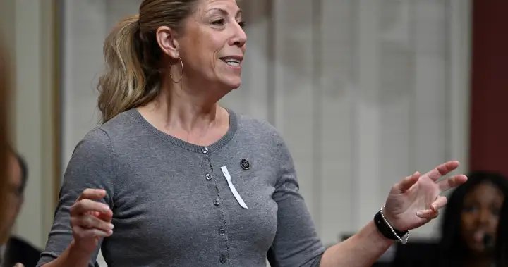 Quebec politician praised for speaking openly about menopause symptom in legislature