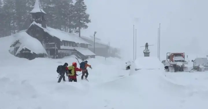 8 skiers found dead, 1 still missing after California avalanche – National