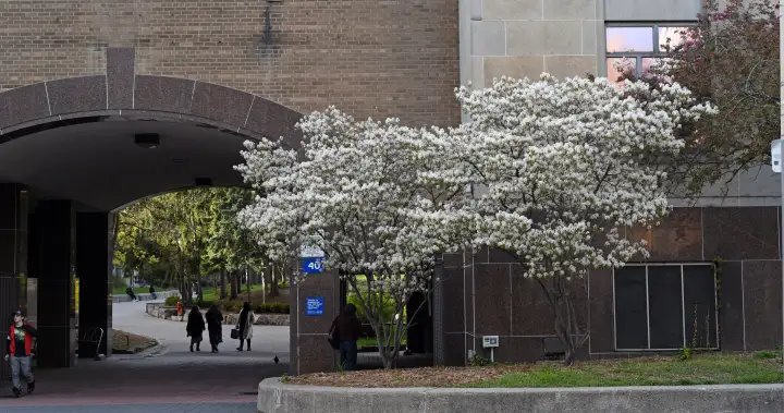 ‘It’s not a freebie’: Ford government defends OSAP changes as opposition continues