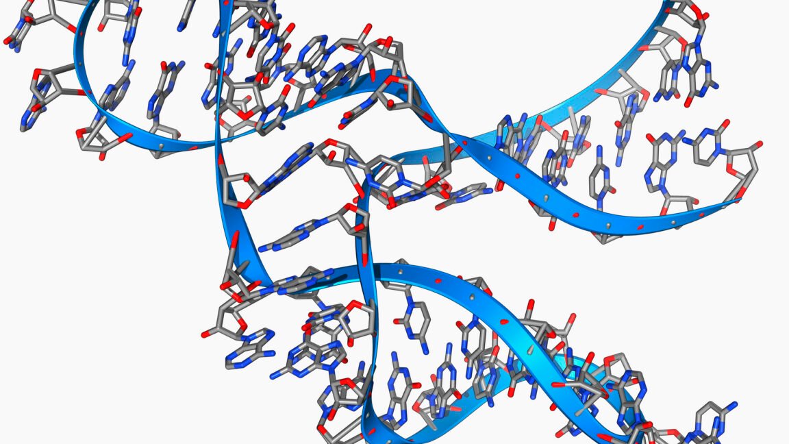 Tiny, 45 base long RNA can make copies of itself