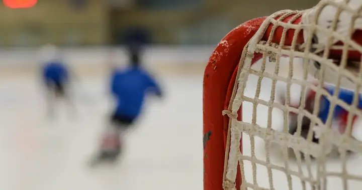 Ontario minor hockey team disbanded over ‘serious allegations,’ association says