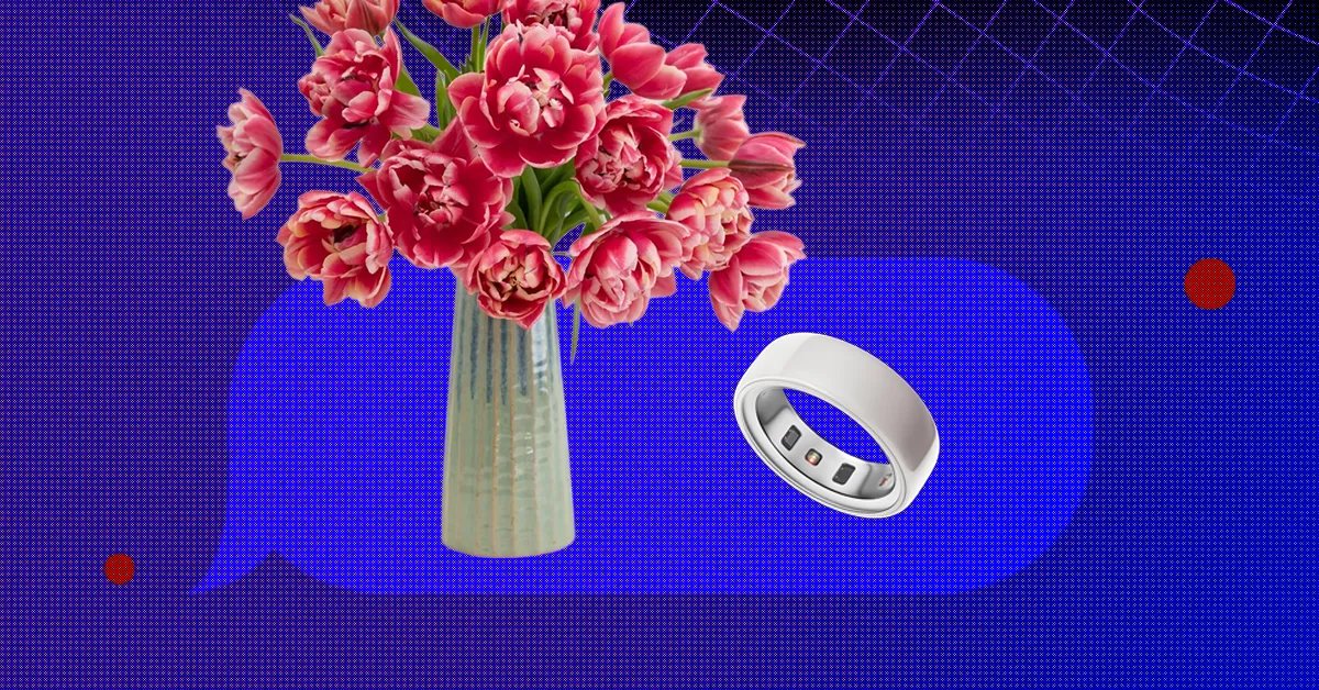 Best Valentine’s Day Gifts (2026): Legos, Karaoke, Digital Frames, and More