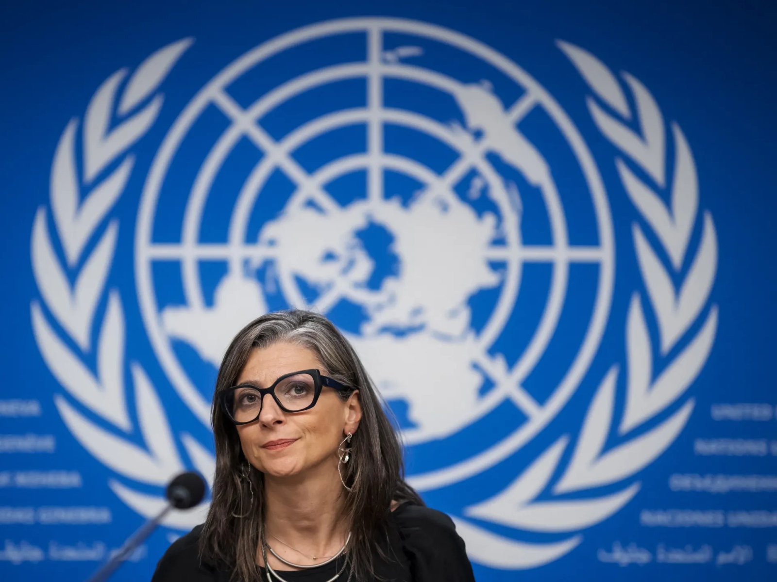 Over 100 artists for Palestine back UN’s Albanese after resignation calls | United Nations News