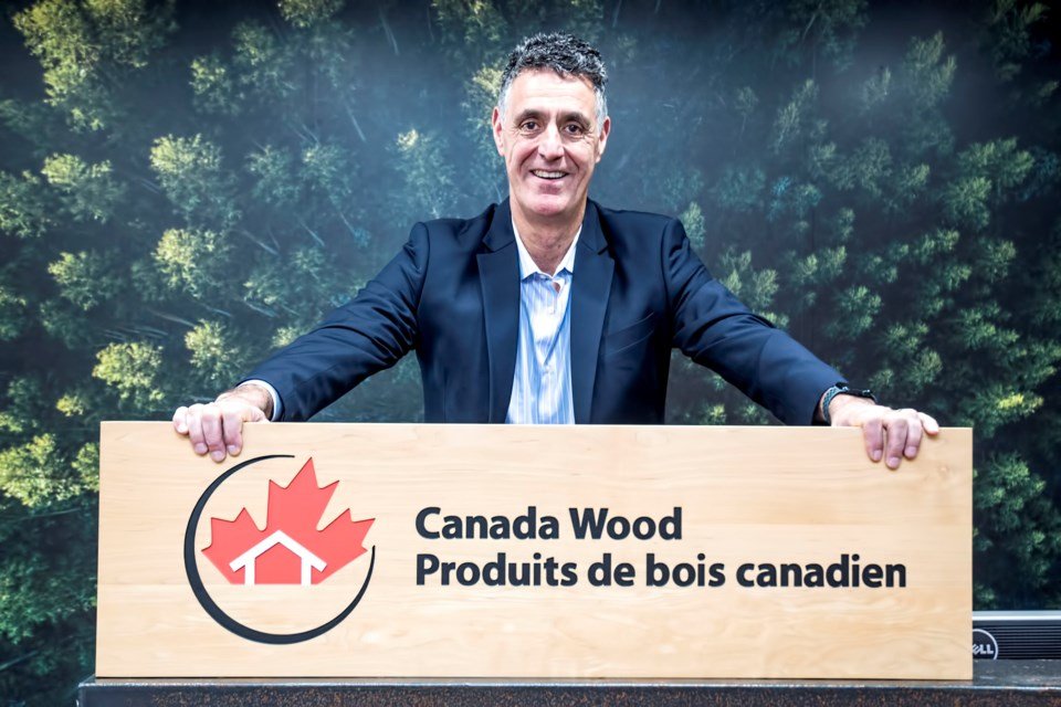 Why India may not be an instant fix for B.C. forestry