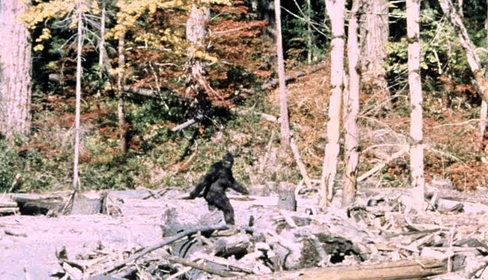 “It ain’t no unicorn”: These researchers have interviewed 130 Bigfoot hunters