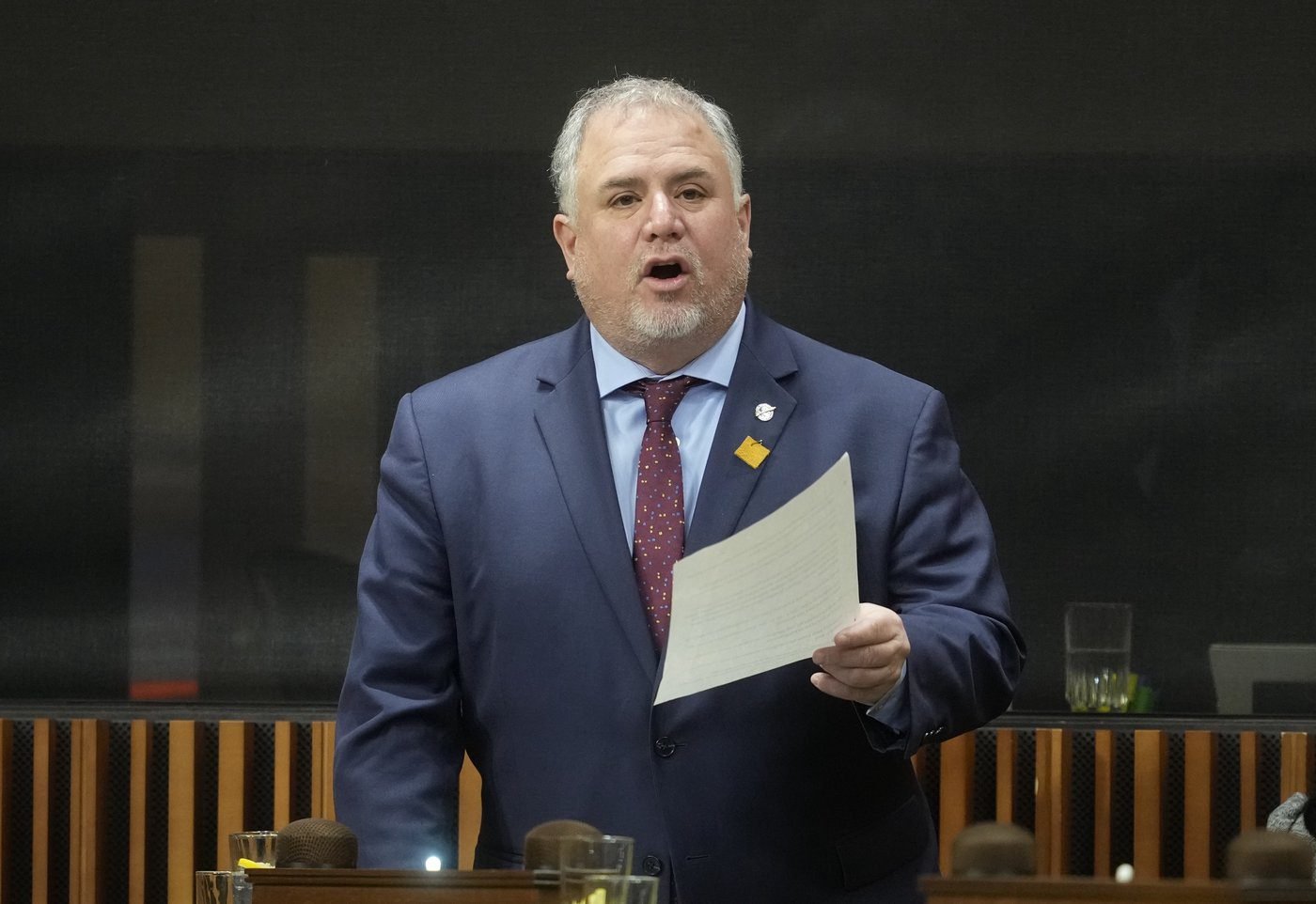 Johns says McPherson can bring NDP back to official party status