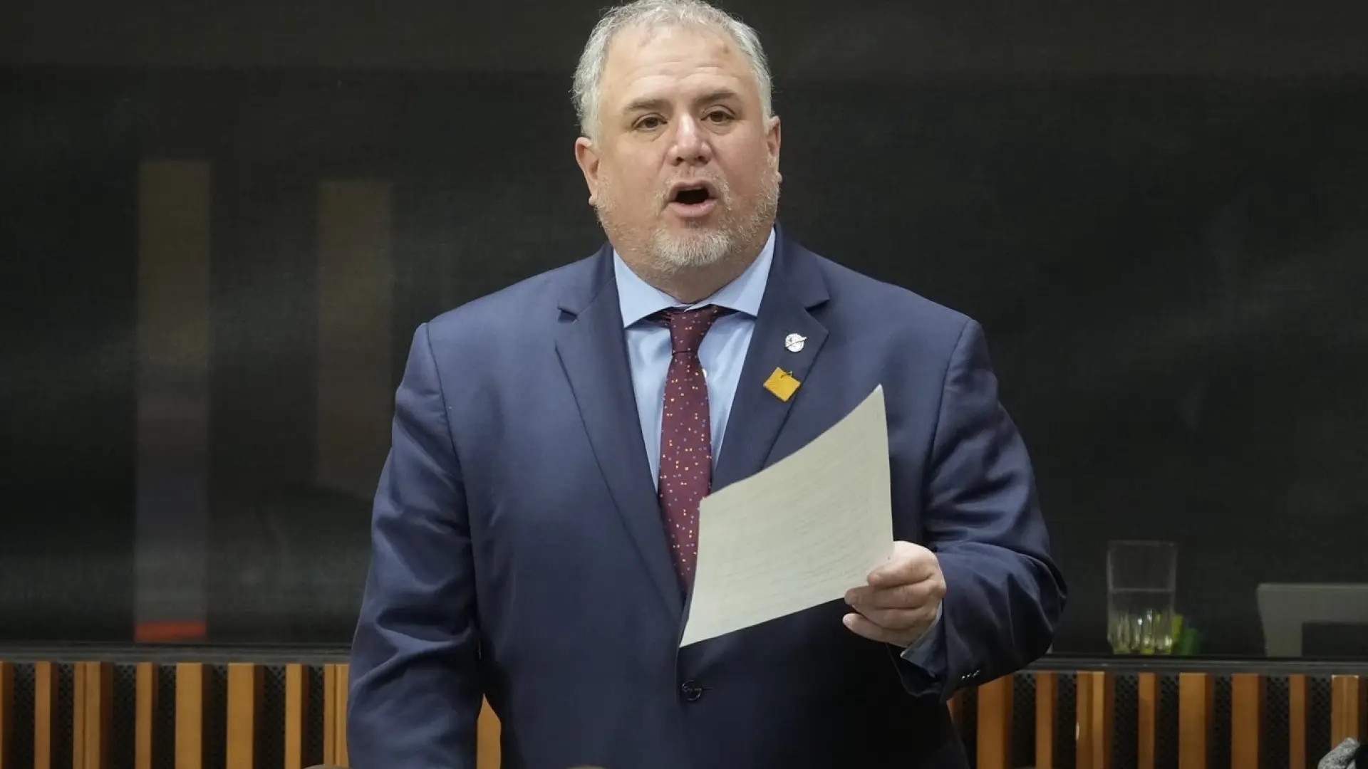 MP Johns endorses McPherson, calls her a ‘strong’ choice for NDP leader