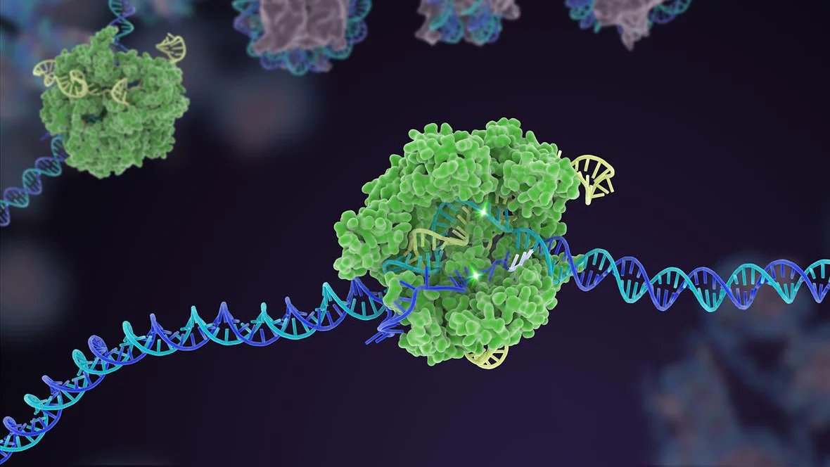 Souped-Up CRISPR Gene Editor Replicates and Spreads Like a Virus