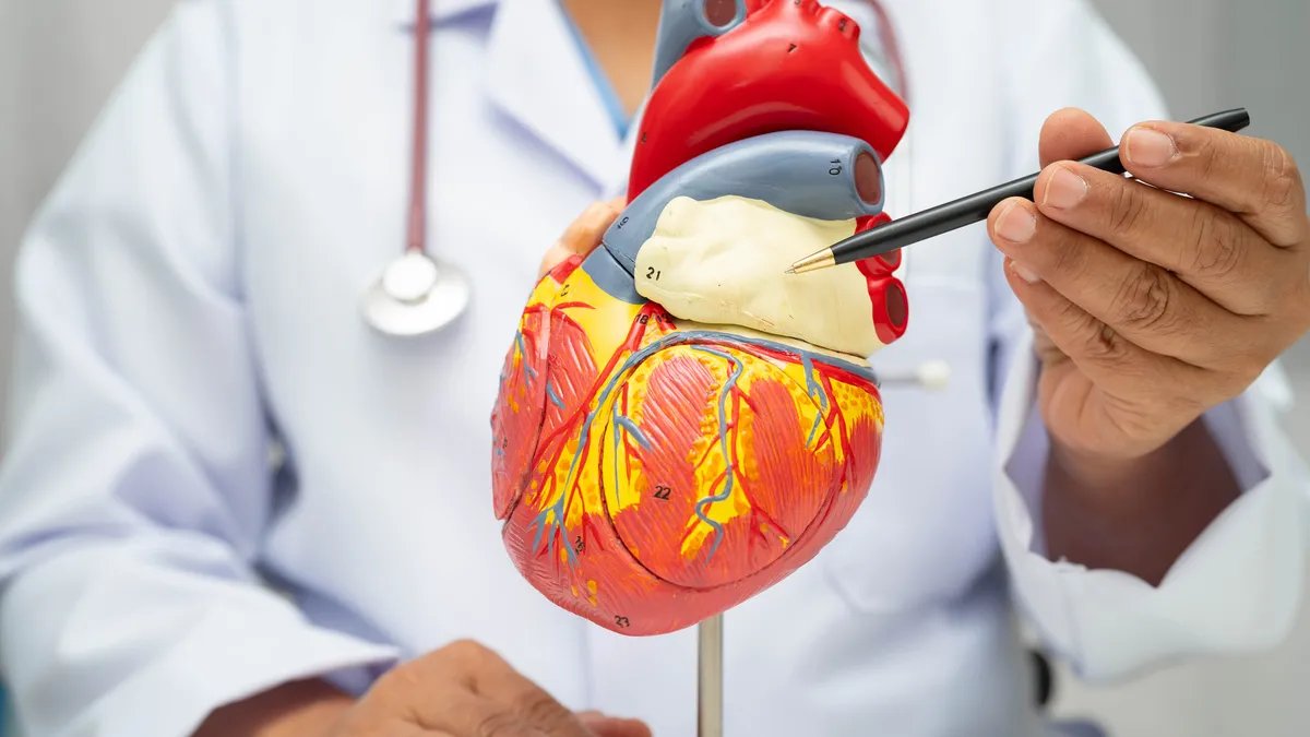 Heart Disease Awareness: This Is Why You Should Get Screened at Any Age