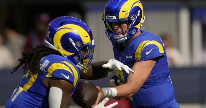 Roughriders sign Super Bowl-winning running back