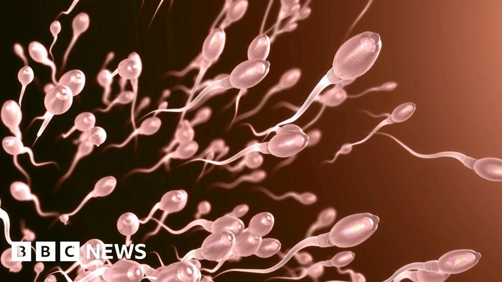 Sperm swim more quickly in summer, study finds