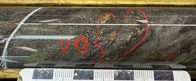 West Red Lake Gold Reports 219.73 g/t Au over 4.8m, 148.36 g/t Au over 3m and 133.13 g/t Au over 2.5m in Austin 904 Complex – Madsen Mine