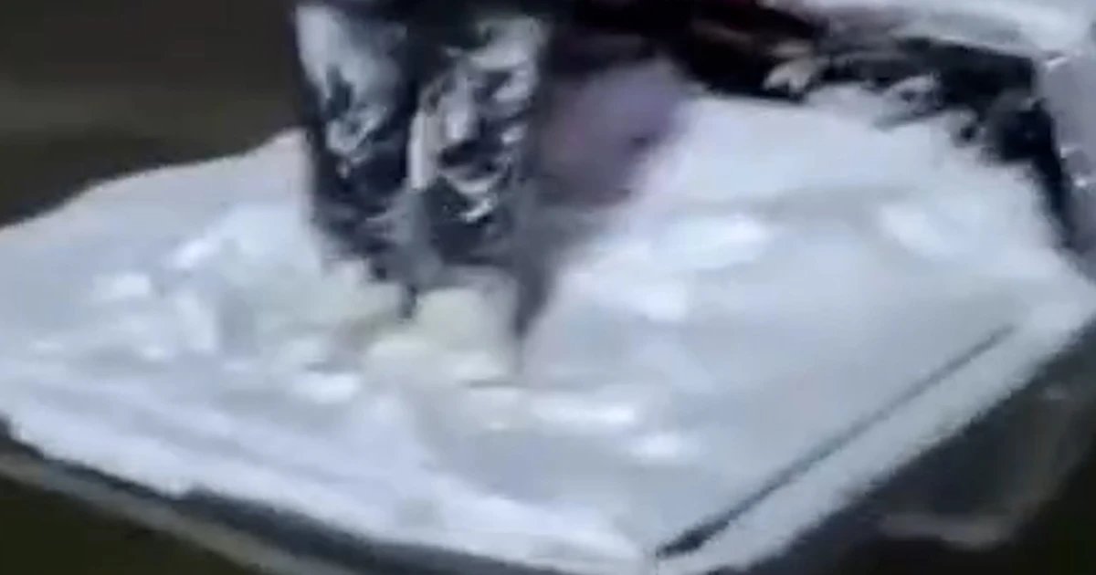 Firefighters rescue a man trapped in an icy pond