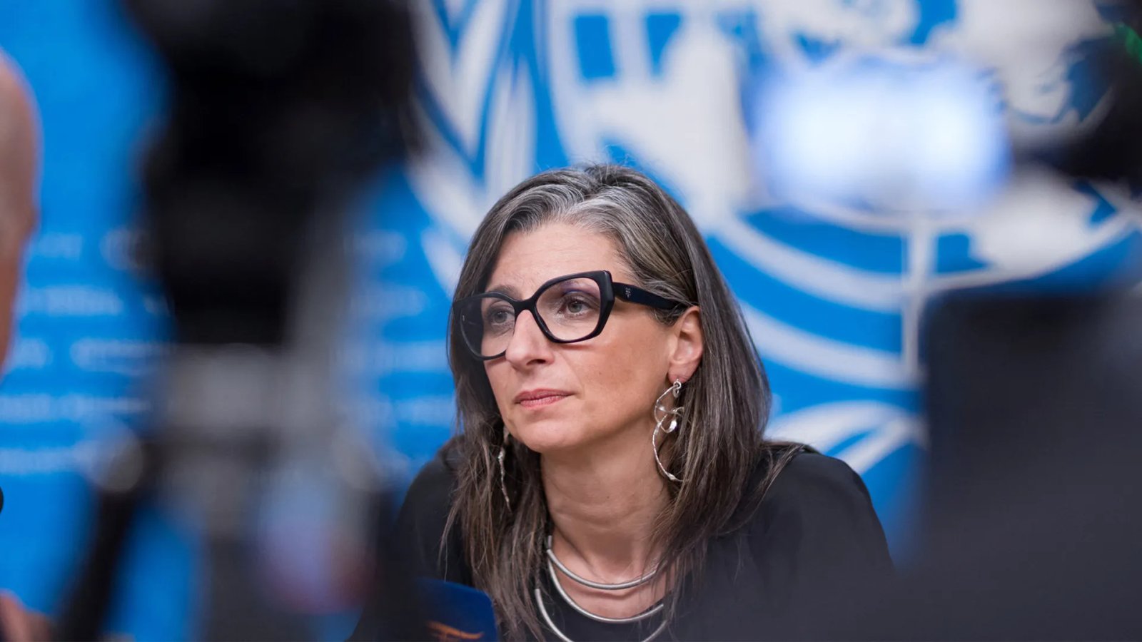 Filmmaker explains why he backs Francesca Albanese amid pressure to resign | Israel-Palestine conflict