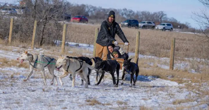 Families gather for Wanuskewin’s 6th annual Kôna Winter Festival – Saskatoon