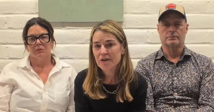 Savannah Guthrie urges mother’s alleged kidnapper to prove she’s alive in new video – National