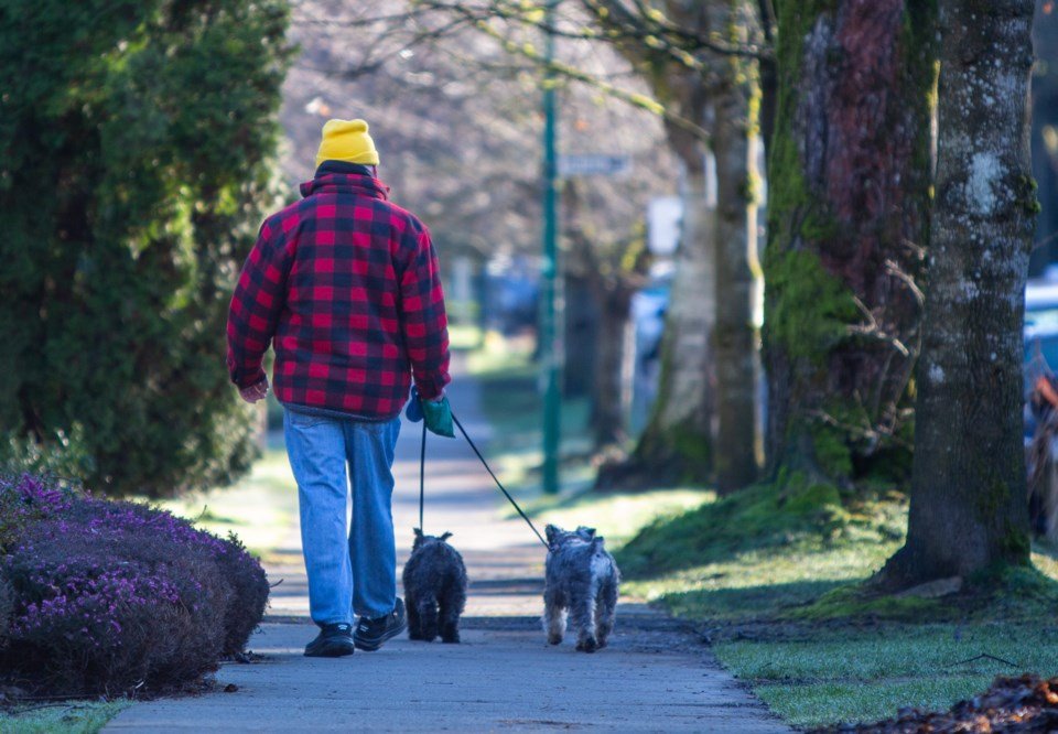 ‘Not sexy, but fundamental:’ Vancouver council boosts budget for roads, sidewalks by $70M