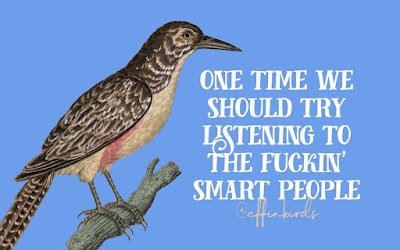 Roundup of comments on Canada’s Defense Industrial Strategy, those radical mainstream environmentalists, the Epstein conspiracy, and Olympic Catch-up