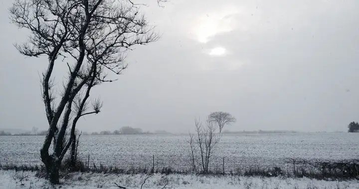 Ontario city turns to landfill property for snow storage amid record winter