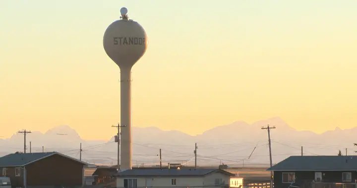 Blood Tribe declares state of emergency after recent dog attacks – Lethbridge