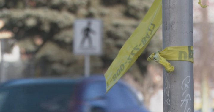 Calgary mayor asks photo radar ban be reconsidered after recent traffic fatalities – Calgary