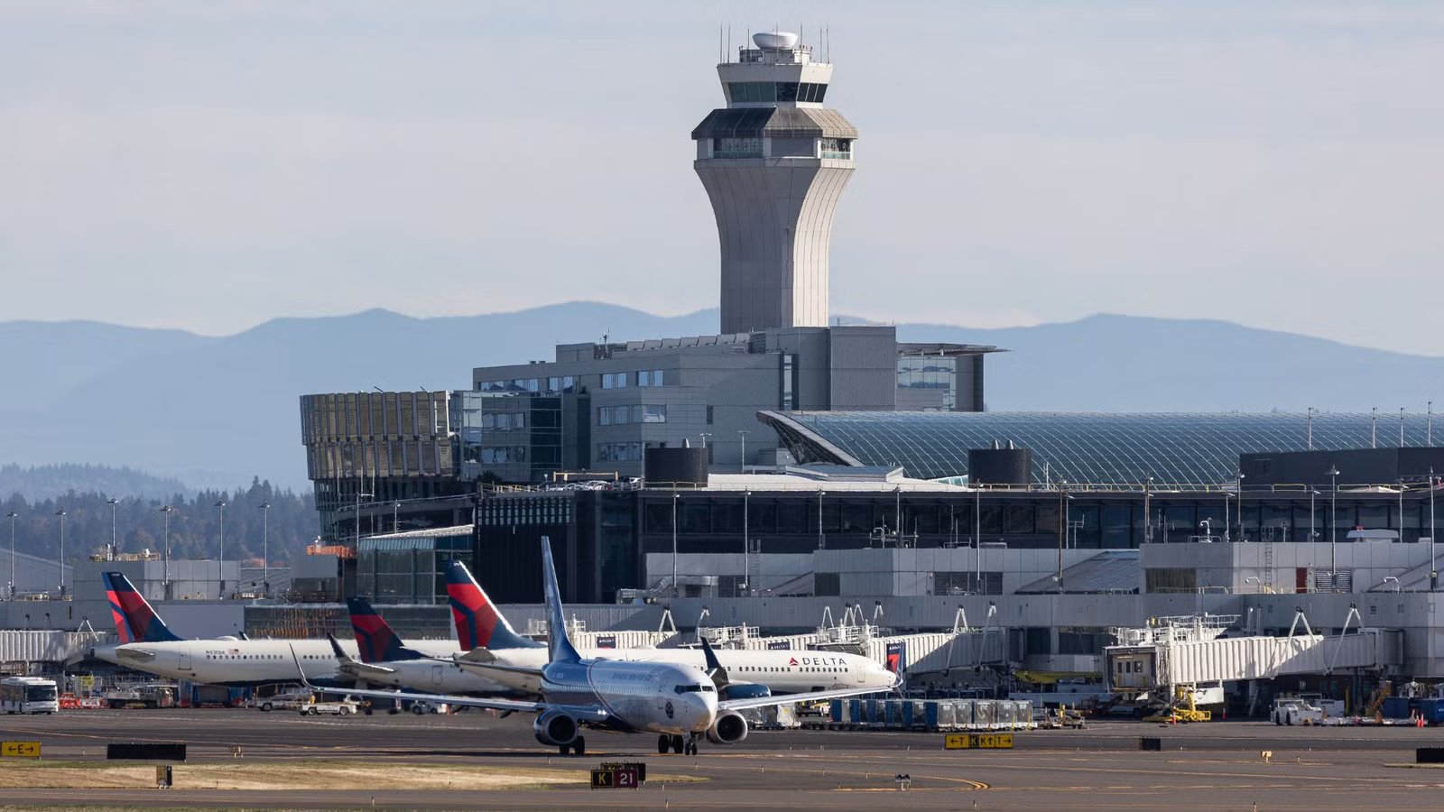 How A Meat Cleaver Made It Onto A Delta Flight—And Why The Passenger Wasn’t Arrested