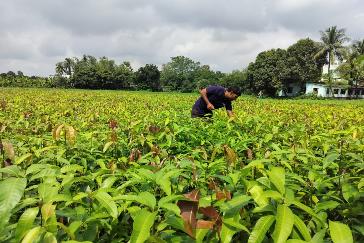 India’s Varaha bags $20M to scale carbon removal from the Global South