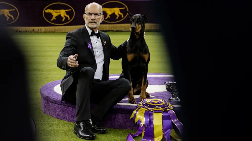 Johnston and Murphy Outfits Westminster’s Best in Show Winning Handler