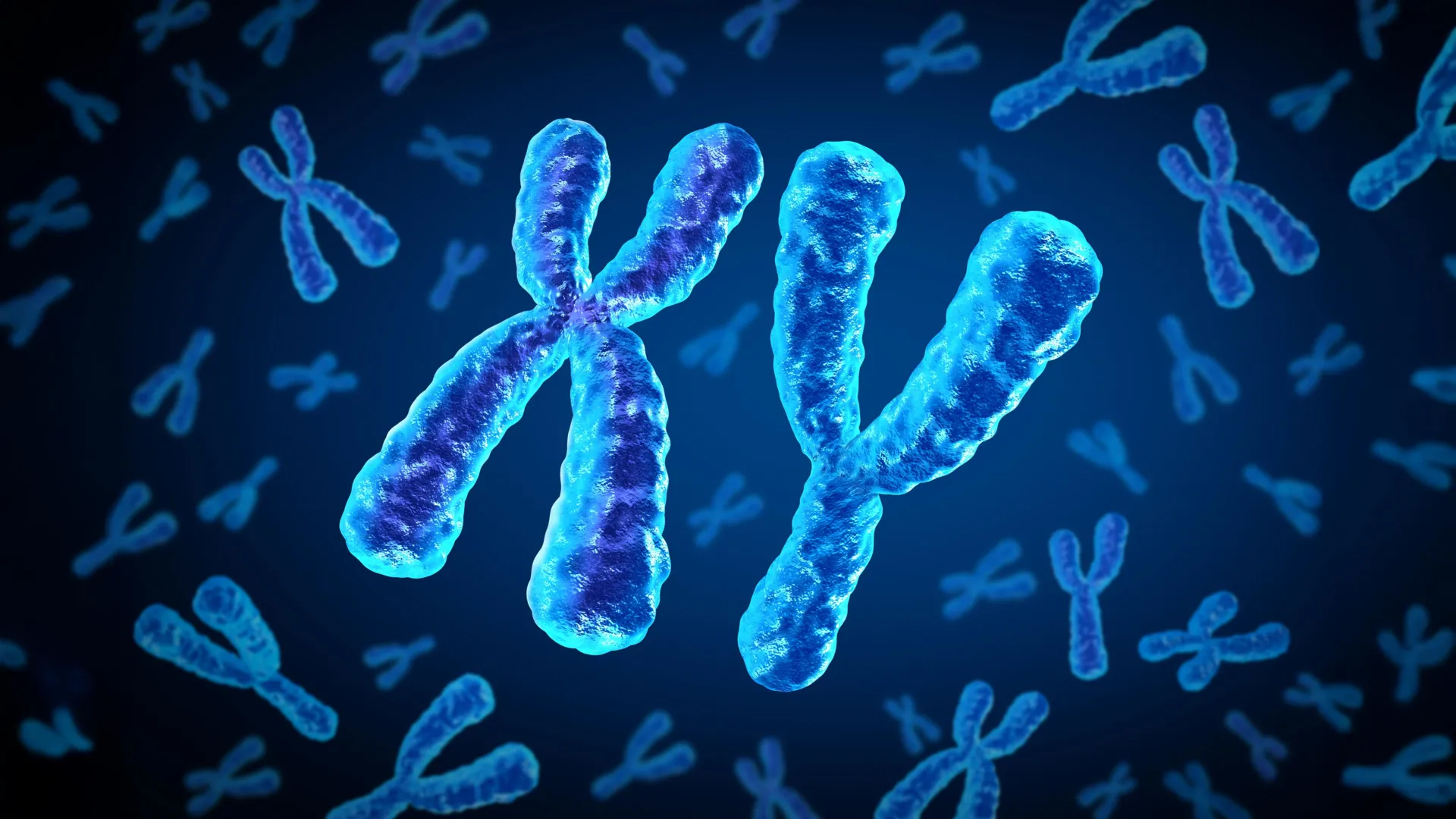 Why heart disease risk in type 2 diabetes looks different for men and women