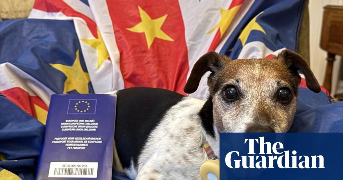 Owners from Great Britain travelling to EU warned over pet passport ‘dodge’ | Pets