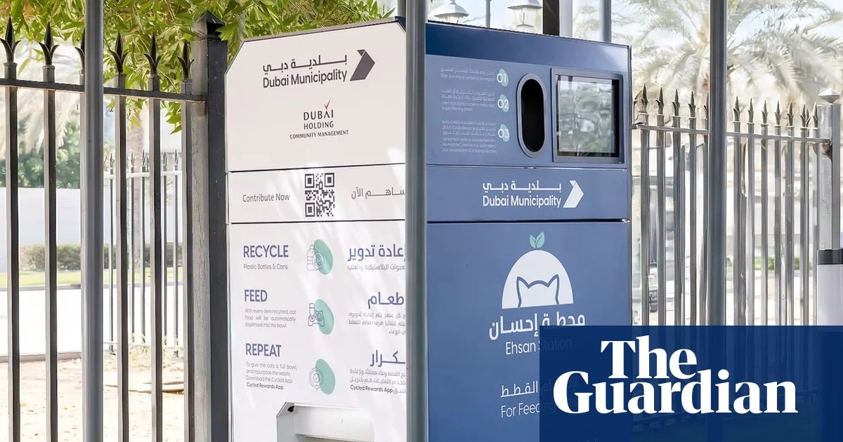 Thousands of pets being abandoned in Dubai as expat owners flee over Iran war | Animal welfare