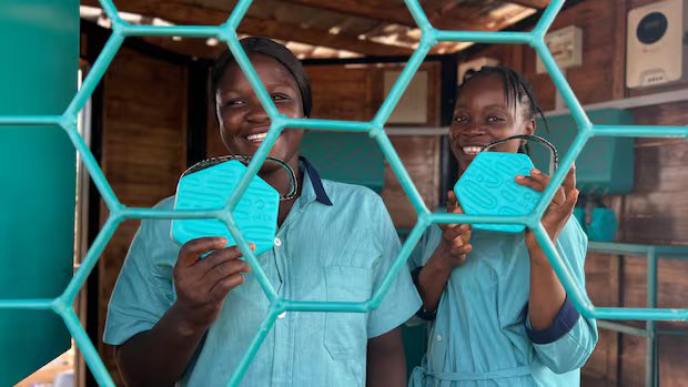 Canadian solar firms bring power to rural Africa using creative solutions