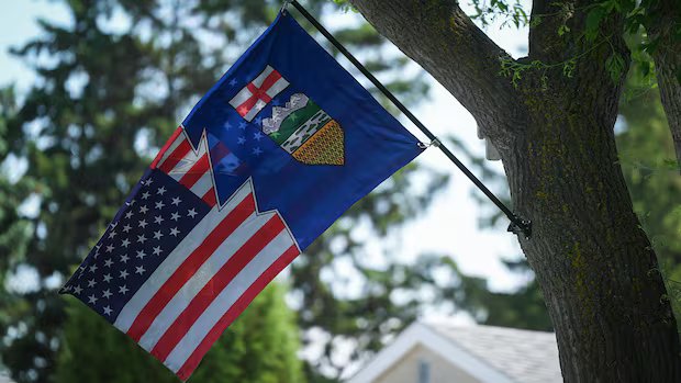 Alberta ‘excessively vulnerable’ to foreign interference, experts warn