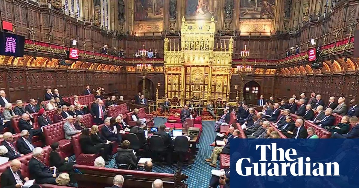 Proposed law does not protect children born to convicted paedophiles, Lords to hear | Child protection