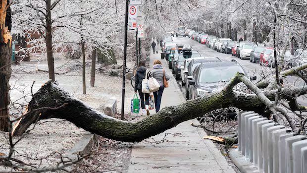 Environment Canada warns of ‘potentially critical’ freezing rain event for Quebec