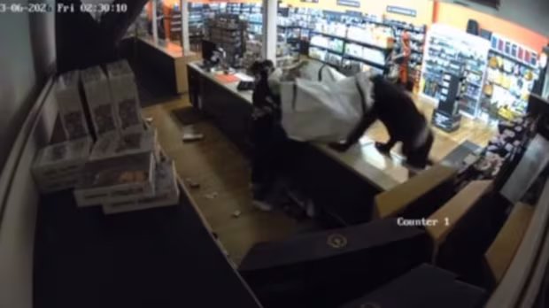 Tens of thousands of dollars in damage after Pokemon cards stolen in B.C.’s Lower Mainland