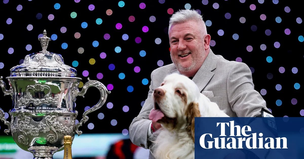 Channel 4 under fire after Crufts winner’s animal cruelty conviction emerges | Crufts