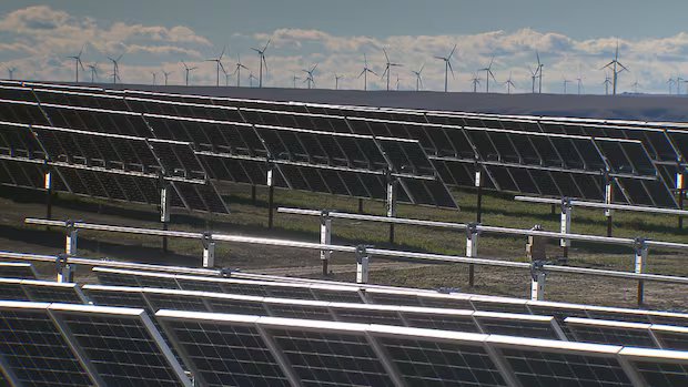 ATCO blames Alberta power policies as it devalues wind and solar projects by $408M