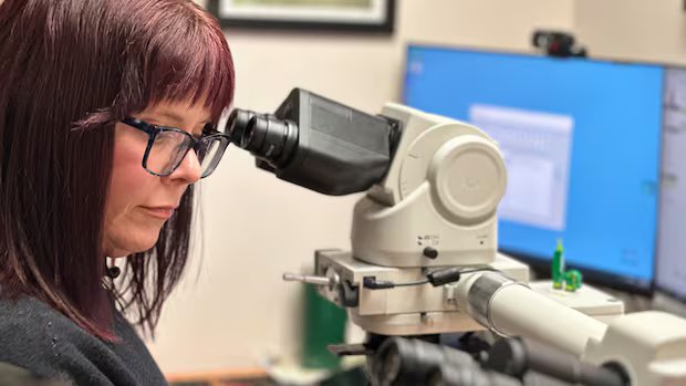 B.C. hires 417 U.S. health-care workers in 1-year recruitment blitz