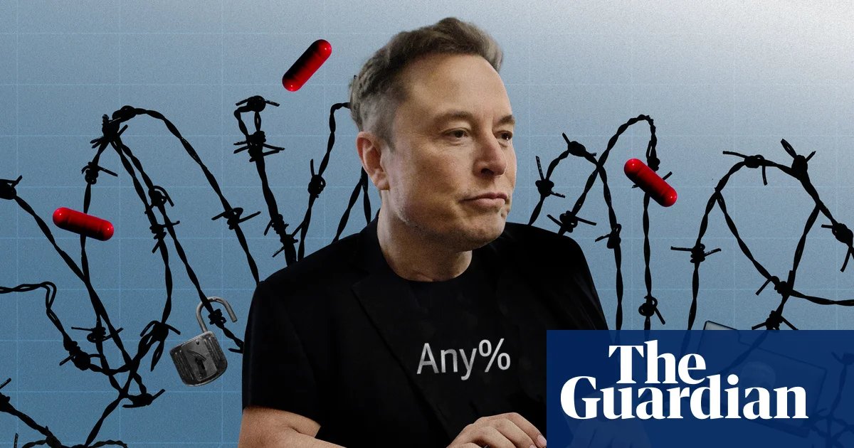 What was Doge? How Elon Musk tried to gamify government | Elon Musk